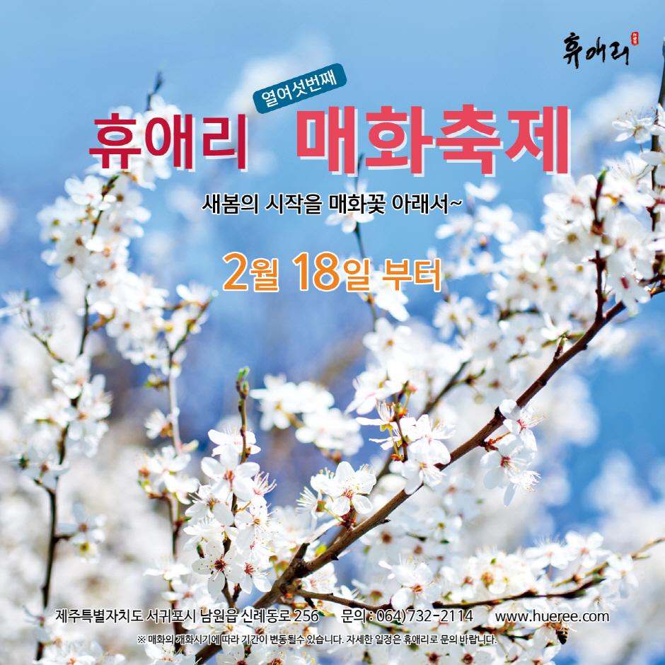 휴애리 매화축제